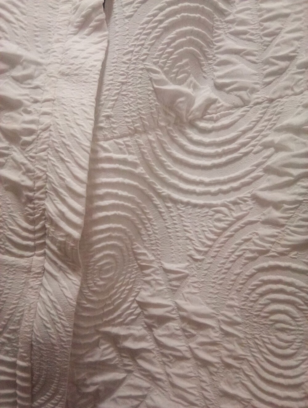 Textured Zip-Front Jacket - Picture 5 of 12